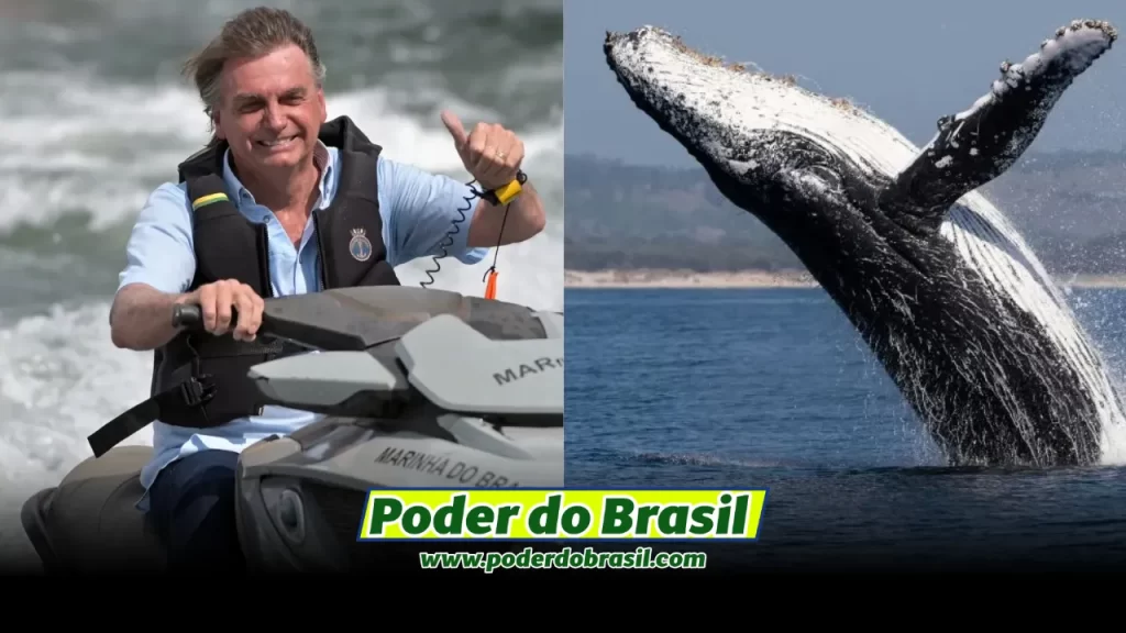 Inquérito Criminal Contra Bolsonaro por Ter Importunado a Baleia Jubarte Foi Arquivado