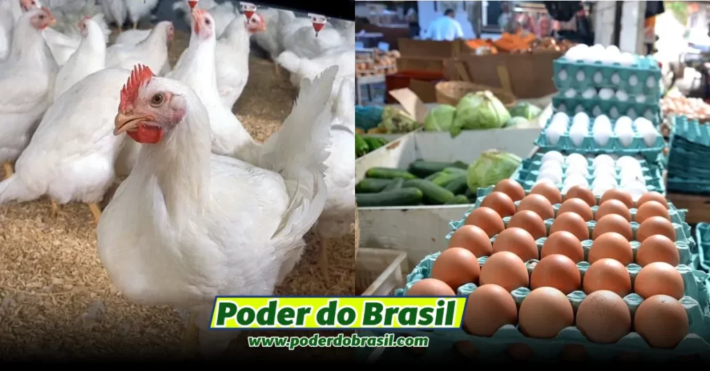 Brasil bate recorde de exportações de Ovo e Frango enquanto o preço aumenta para os brasileiros